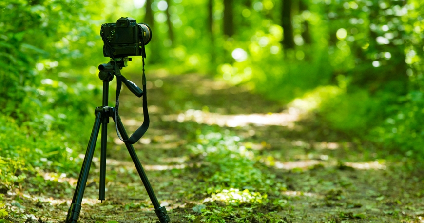 KONKURS FOTOGRAFICZNY