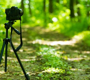 KONKURS FOTOGRAFICZNY