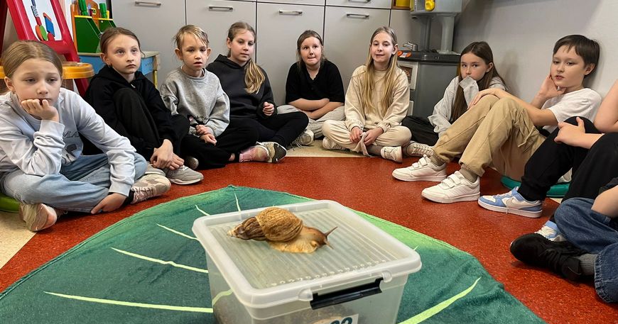 ŚLIMAK, ŚLIMAK...POKAŻ ROGI!